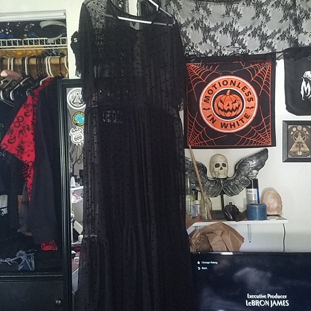 Mesh Pollka Dot Overlay dress